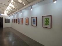 RAY_blog_exposicion_alianza_05