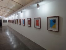 RAY_blog_exposicion_alianza_06