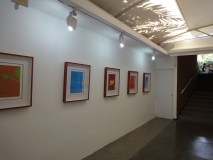 RAY_blog_exposicion_alianza_08