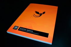 2011_palermo_concurso_ilustradores_RAY_01