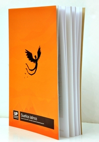 2011_palermo_concurso_ilustradores_RAY_03